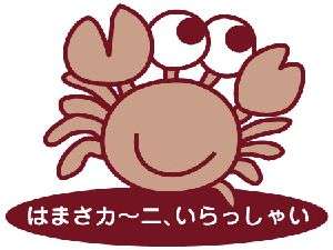 �ͺ䲹�������� �̿�