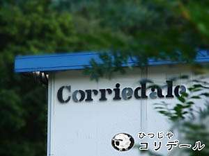 �ҤĤ��䥳��ǡ��� �̿�
