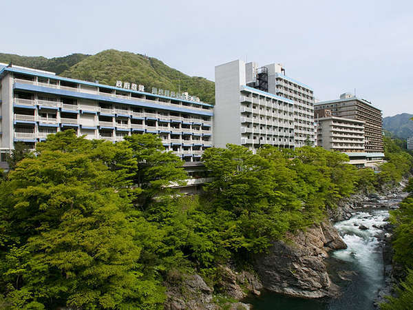鬼怒川温泉 ホテル 宿泊予約 ...