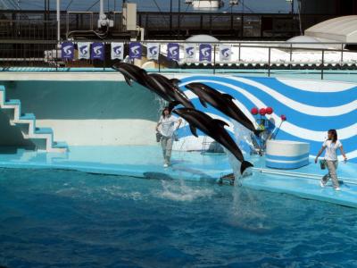 伊豆・三津シーパラダイス