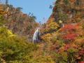 白神山地旅行記1