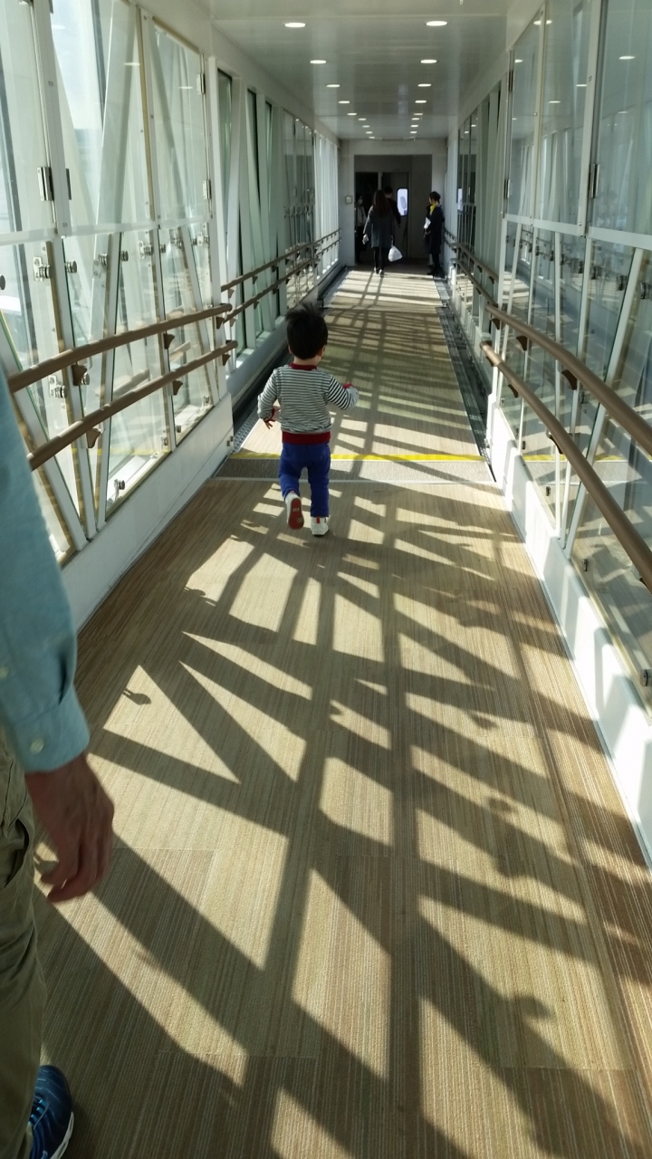 3泊4日釜山旅!br /\u0026gt;妊娠7か月、