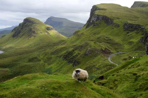 アイル・オブ・スカイ (Isle of Skye)