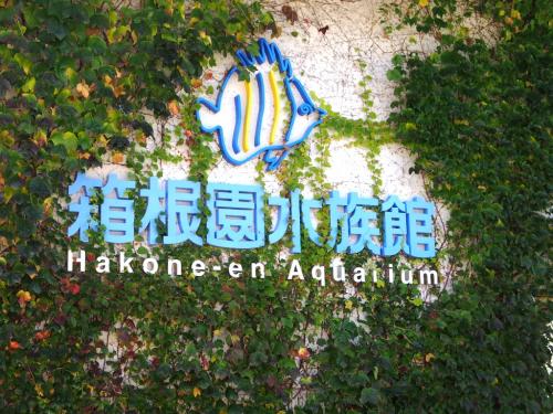 Image result for 箱根 ビリー君