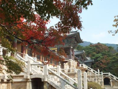慶州のツアー