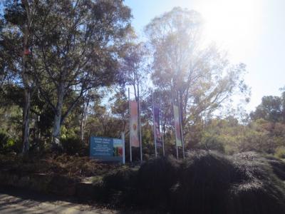 オーストラリア国立植物園の魅力 地図 行き方 Jtb