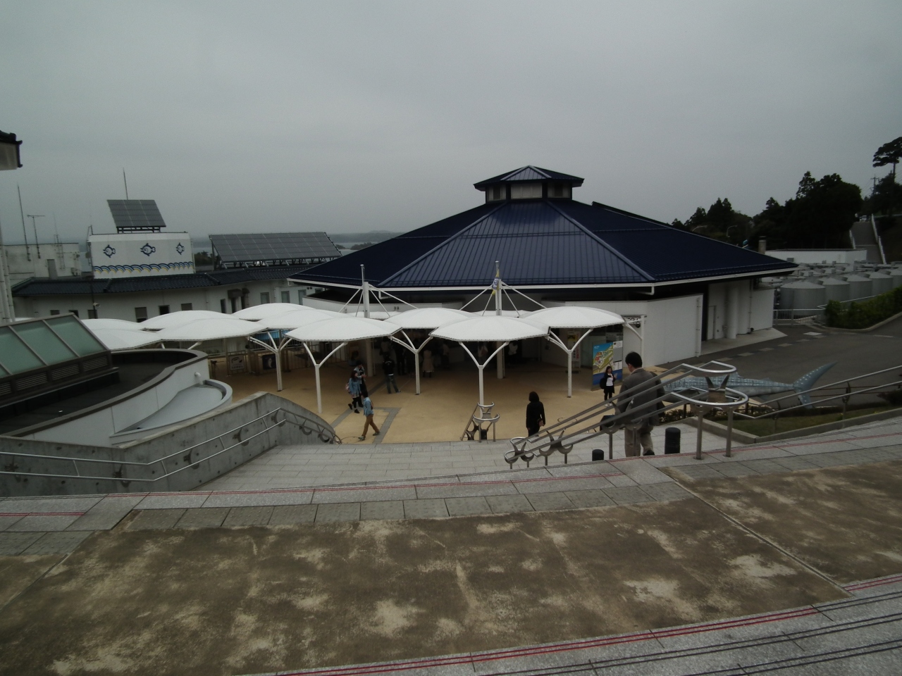 のとじま水族館 クチコミガイド【フォートラベル】能登島 のとじま水族館 クチコミガイド【フォートラベル】能登島