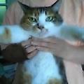 loucielleさん