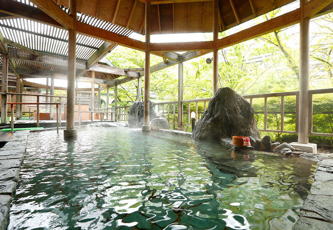 大江戸温泉物語 鬼怒川温泉 鬼怒川観光ホテル 写真